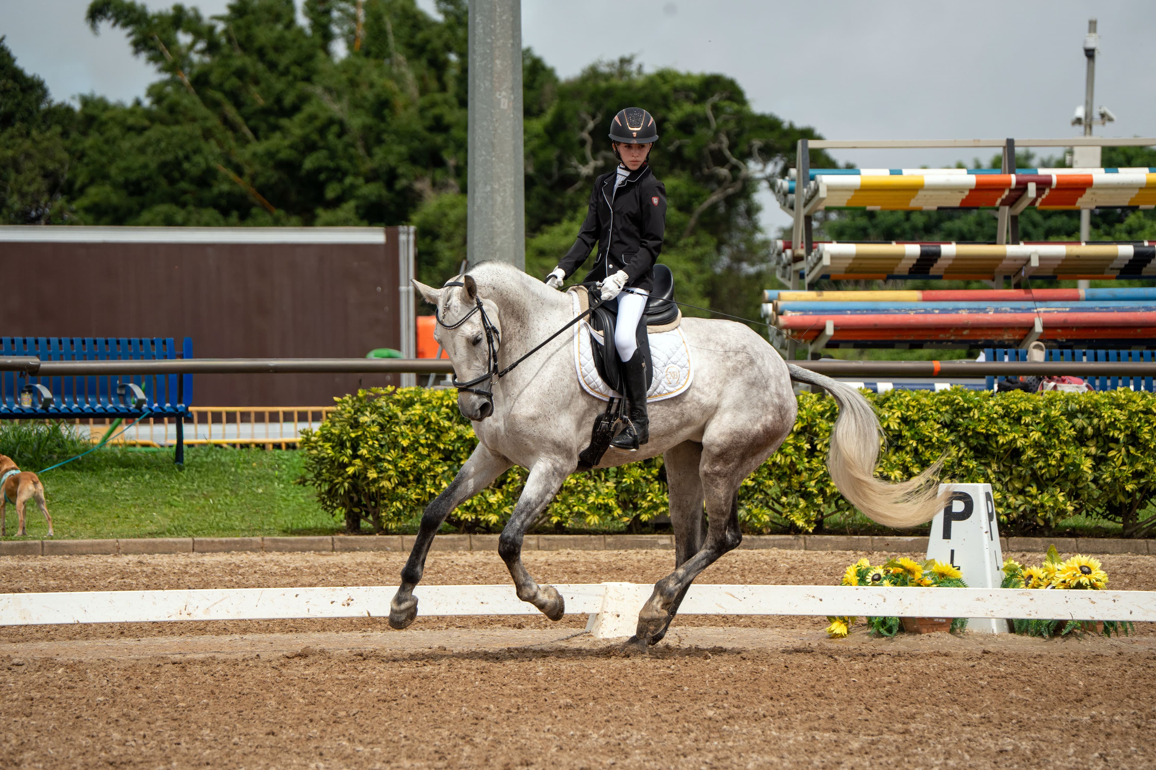 First Level - Valentina Xirinachs