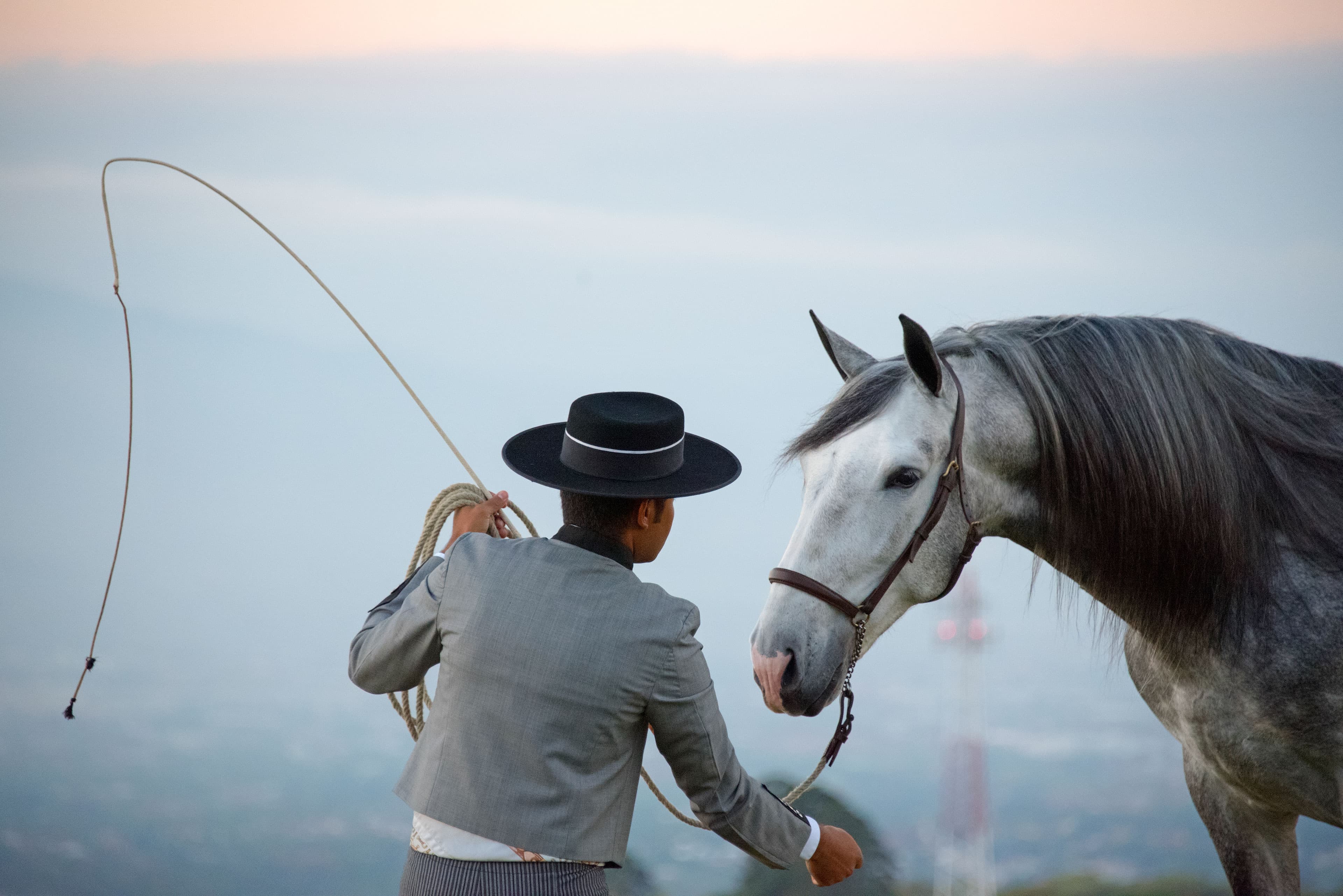 Equestrian facility at Hacienda Barvak