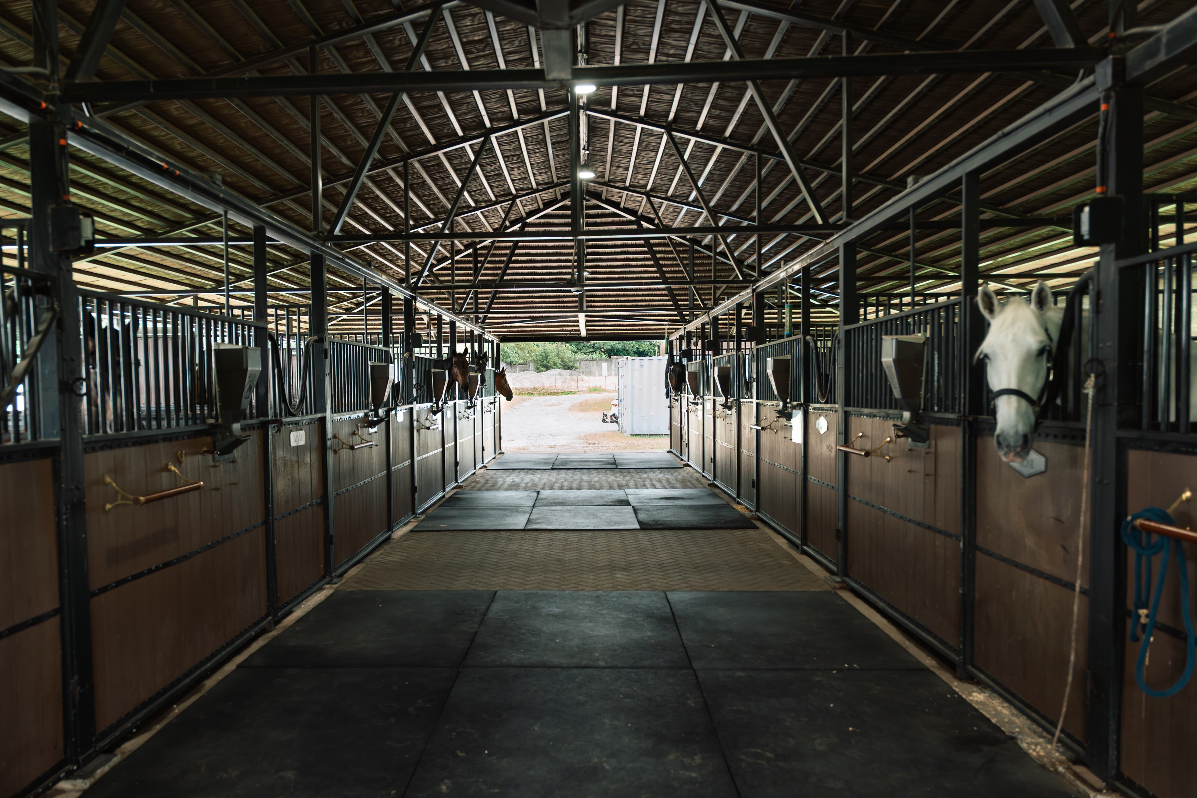 Luxury stables with horses