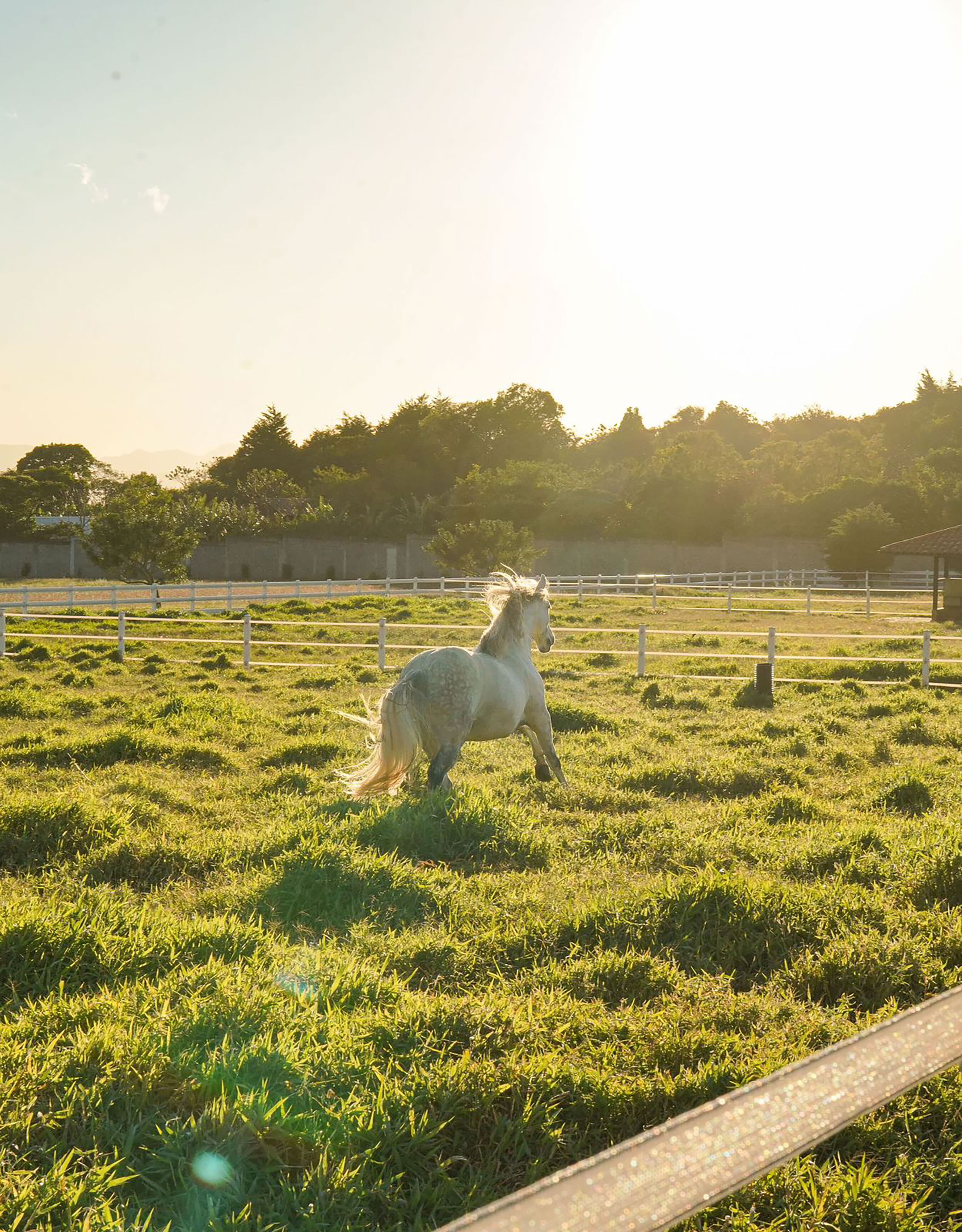 Rider on horseback at the equestrian arena
