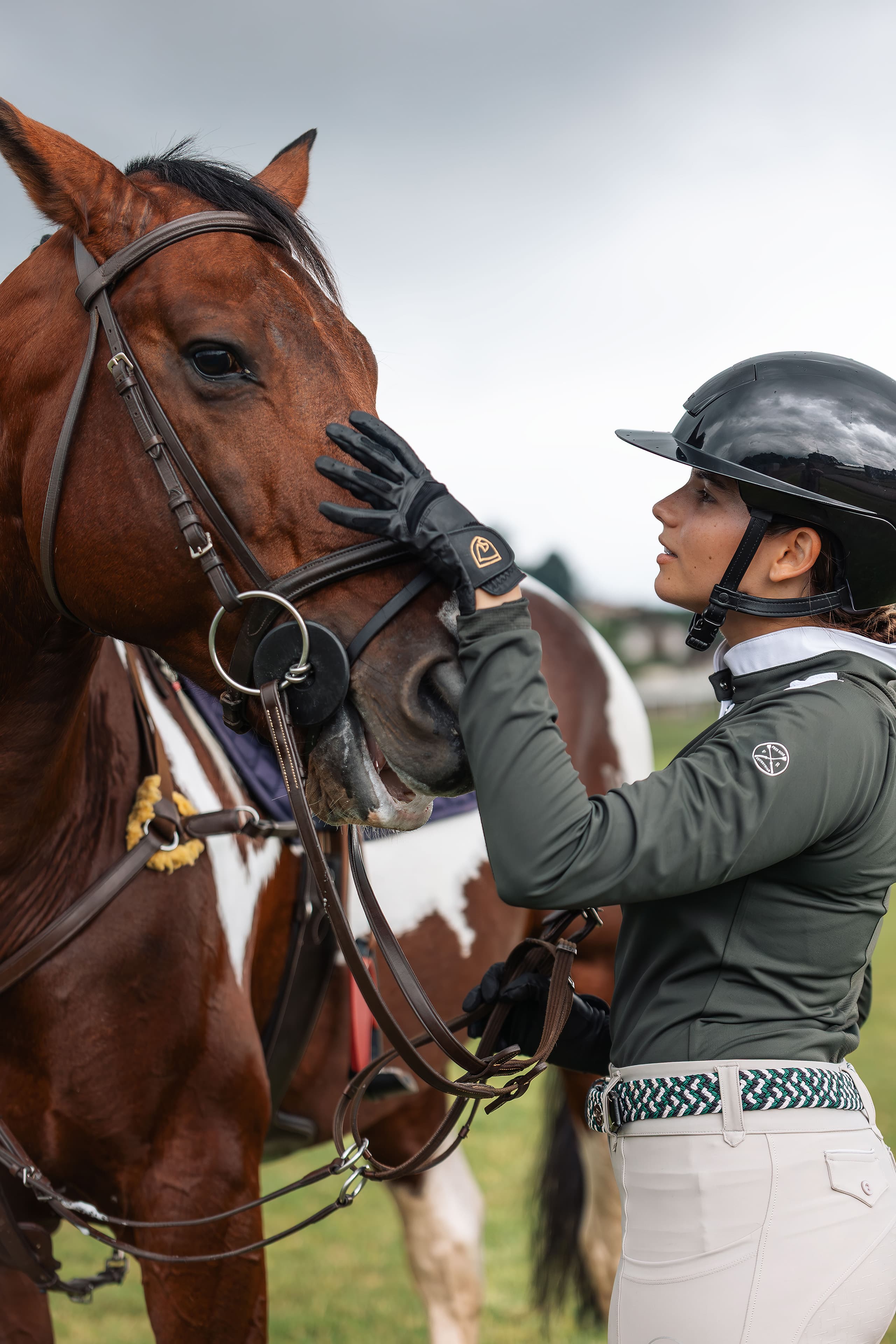 Equestrian facilities with horses and riders
