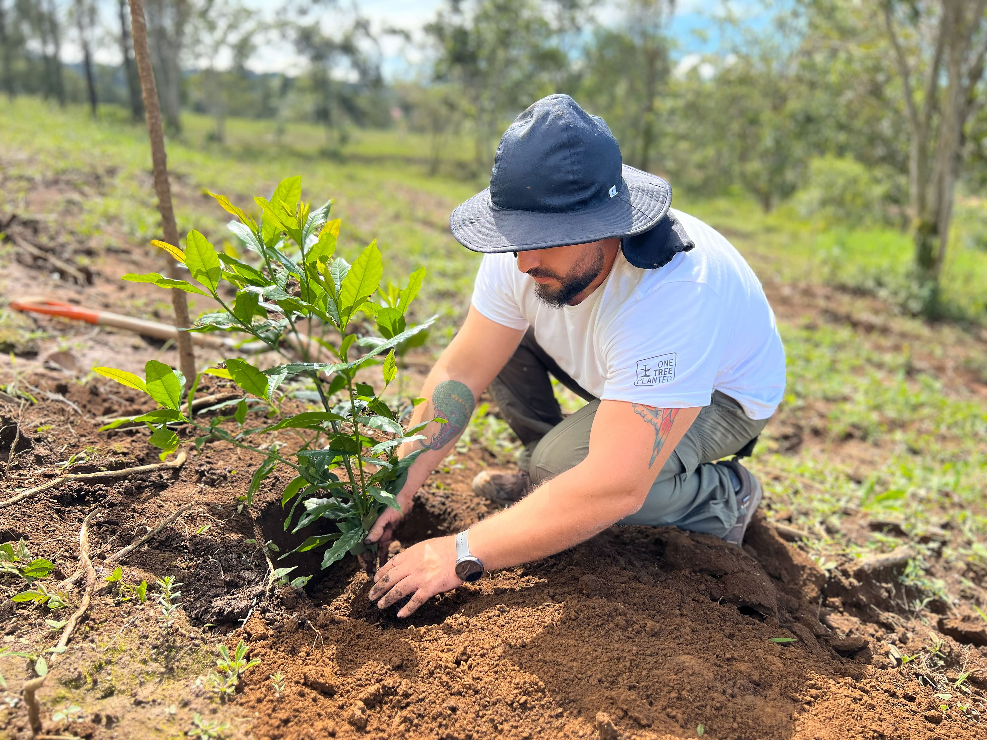 Hacienda Barvak has planted more than 25,000 trees.